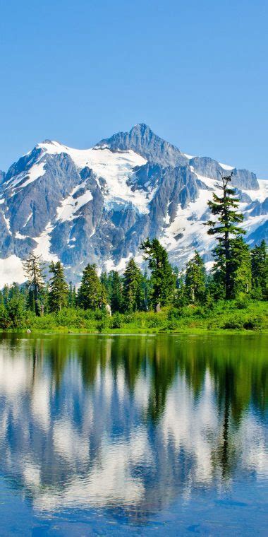 Washington Lake Mountains Trees Landscape - [1440x2880]