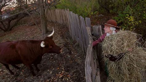 Plimoth Plantation Is Changing Its Name | Mental Floss