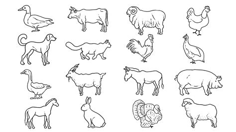 Easy pet animals or farm animals drawing.cow drawing, pig drawing, rabbit, cat, camel, goat ...