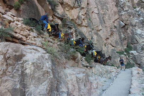 gjhikes.com: Bright Angel Trail