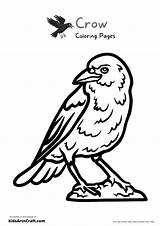 Crow Coloring Pages For Kids – Free Printables  sketch template