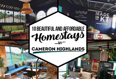 10 Beautiful and Affordable Homestays in Cameron Highlands - JOHOR NOW