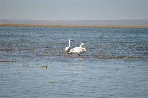 Bayankhongor Province - Escape To Mongolia