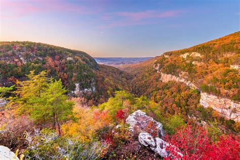 10 Best Places To See Fall Foliage In Georgia - Follow Me Away