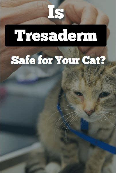 Tresaderm for Cats - All You Need to Know | Cats, Fluid and electrolytes, Animals for kids