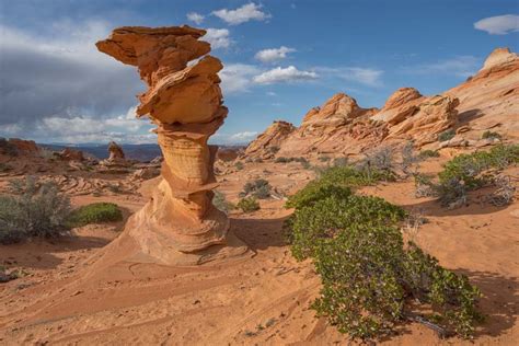 Coyote Buttes South Map