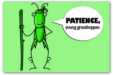 Patience, Young Grasshopper - Dr. Steven