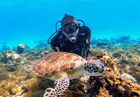 Diving in Cartagena | Colombia Travel