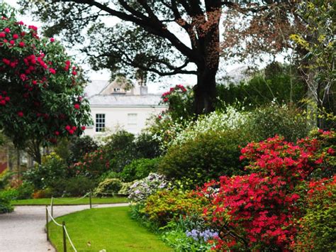 Trelissick Garden in Spring – life at the edge