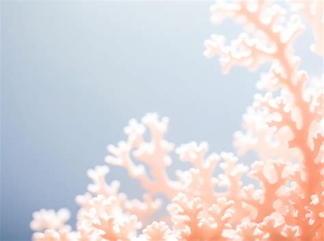 Premium AI Image | Coral Sunset Minimal Abstract Light Background