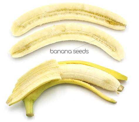 Do Bananas Have Seeds? How to Grow Banana Plants from Seed