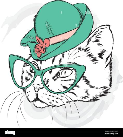 Cat in a hat and glasses. Vector illustration Stock Vector Image & Art - Alamy