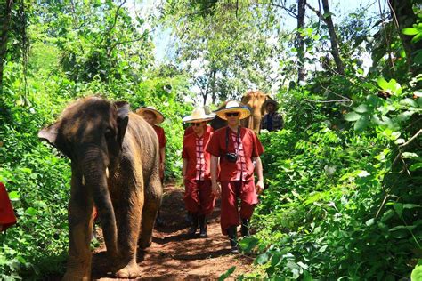 Elephant Rescue Park | designed for homeless elephants