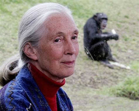 Primatologist Jane Goodall still educating the world about chimpanzees - National | Globalnews.ca