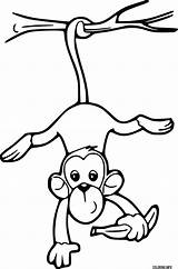 Monkey Holds A Banana Swinging Coloring Page Printable sketch template