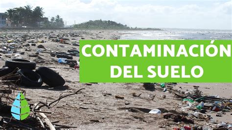 ¿Cuáles son las principales causas de la contaminación del suelo? – Search Ping