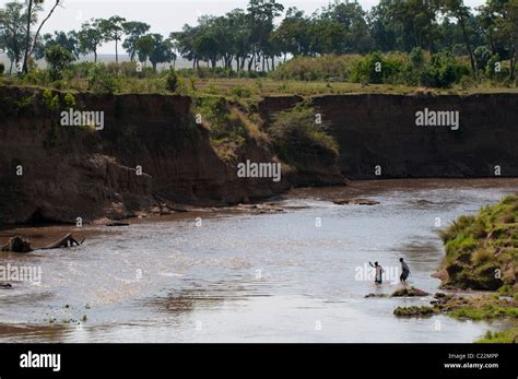 Masai men crossing river Mara, Masai Mara, Kenya Stock Photo - Alamy