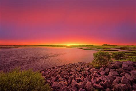 Big Talbot Island Photograph by Peter Lakomy - Fine Art America