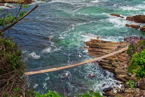 Suspension bridge in Tsitsikamma National Park, ,South Africa ...