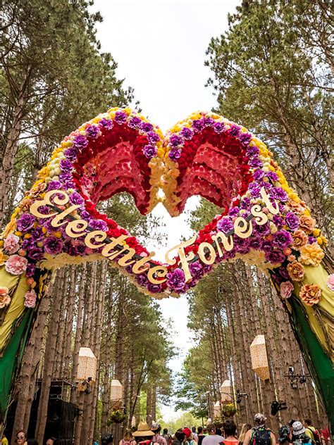 Get Awe-Struck by These Sherwood Forest Shots From Electric Forest 2018 | Insomniac