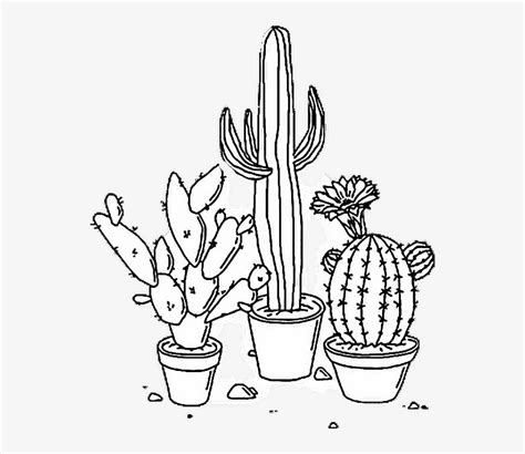 Sticker Tumblr Aesthetic Png Cactus Plant Blackandwhite - Aesthetic ...