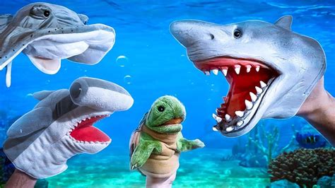 SHARK PUPPET ESCAPES FROM THE AQUARIUM!!! - YouTube