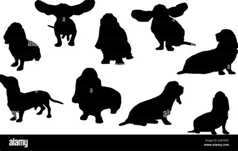 basset hound dog silhouette bundle svg Stock Vector Image & Art - Alamy