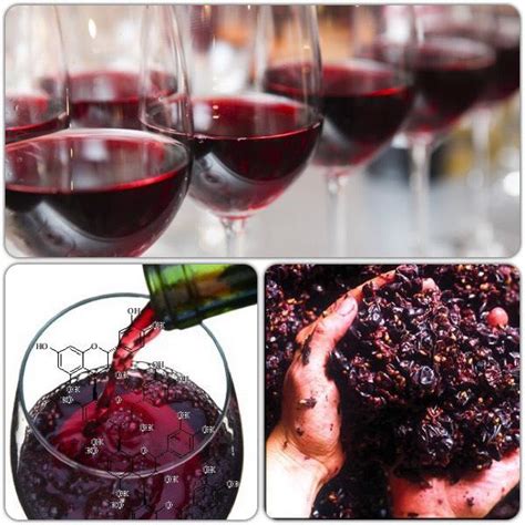 Exactly What Are Wine Tannins And How Do They Affect Different Types Of Wine? - Pinot's Palette