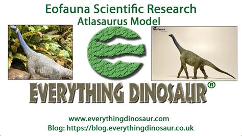 Eofauna Atlasaurus Dinosaur Model - YouTube