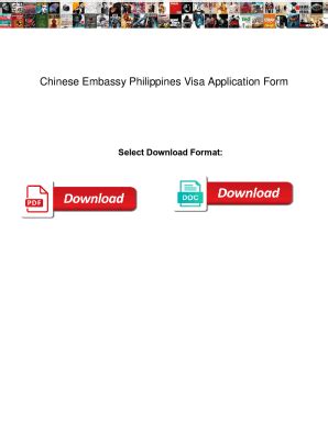 Fillable Online Chinese Embassy Philippines Visa Application Form. Chinese Embassy Philippines ...