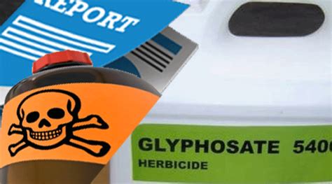 Glyphosate Ban Lifted