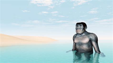 Sorry David Attenborough, We Didn't Evolve From Aquatic Apes | Science 2.0