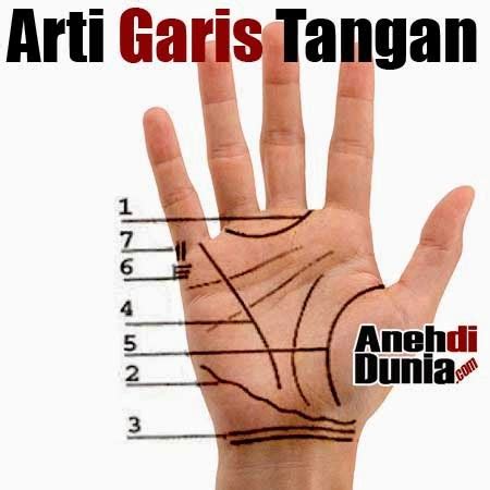 Palmistry Membaca Arti Dan Rahasia Garis Tangan - Berita Aneh dan Unik Di Dunia