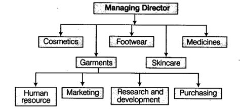 What is meant by divisional structure of an organisation? - CBSE Class ...