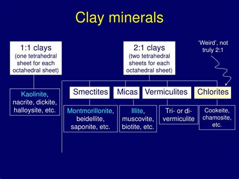 PPT - Clay Types Study Guide PowerPoint Presentation - ID:454996