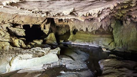 Waipū Caves Track: Waipu area, Northland region