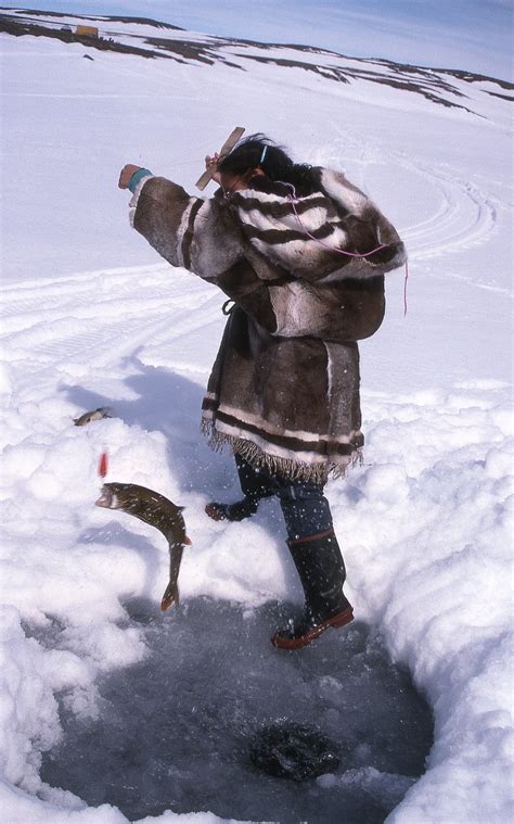 II.2: INUIT FOOD: 2. Fishing ~ People of the Arctic by John Tyman