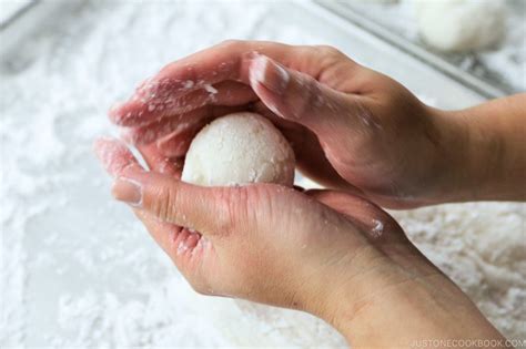 How to Make Mochi with a Stand Mixer (Homemade Mochi) お餅の作り方 • Just One Cookbook