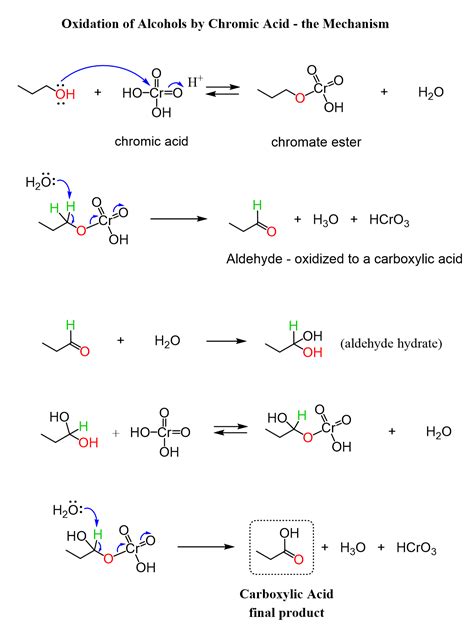 Oxidation of Alcohols by Chromic Acid - the Mechanism Organic Chemistry ...