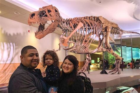 Visiting SUE the T. rex: What to Know Before You Go - Field Museum