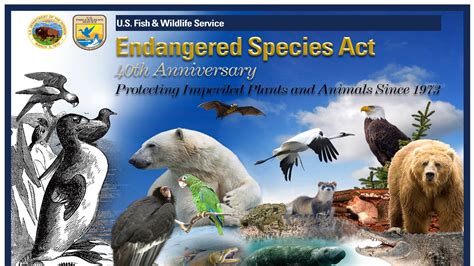 Petition · Protect the Endangered Species Act - United States · Change.org