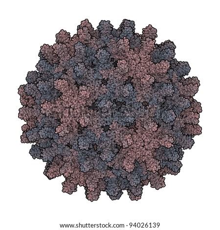 Hepatitis B Virus (Capsid). This Hbv Virus Is The Causative Agent Of Hepatitis B Stock Photo ...