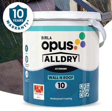 Birla Opus All Dry (WHOLESALE DISTRIBUTOR) at Rs 3950/litre | Birla Opus Paints in Chennai | ID ...