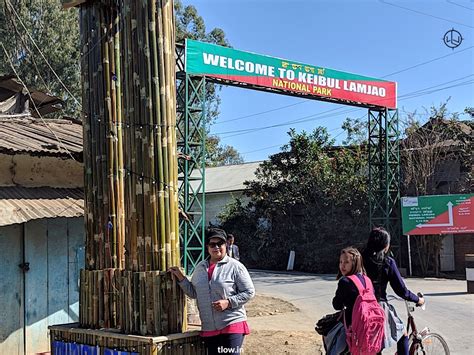 Home of the Sangai: Keibul Lamjao National Park ~ The Land of Wanderlust