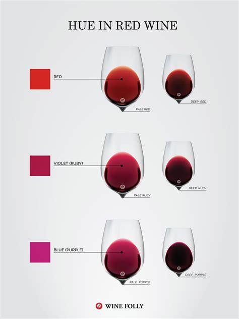 What Color Tells You About a Wine | Wine Folly