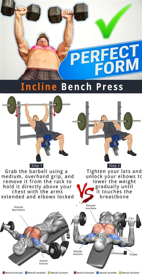 97 Comfortable How to do an incline dumbbell press for Beginner | Fitness and Gym Equipment