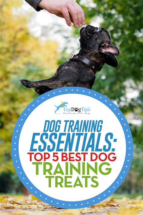 Top 5 Best Dog Training Treats in 2017 (small and low calorie)