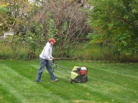 Spring Turf Dethatching • Prima Pros Your Property, Our Priority