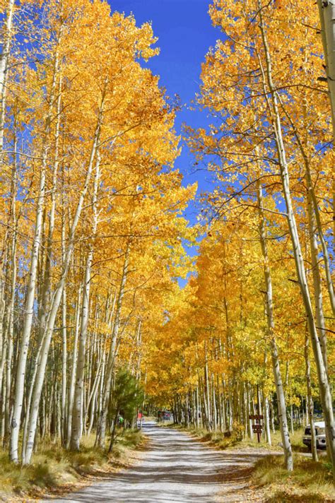 Fall in Flagstaff, Arizona - seasons in the desert? - Periodic Adventures