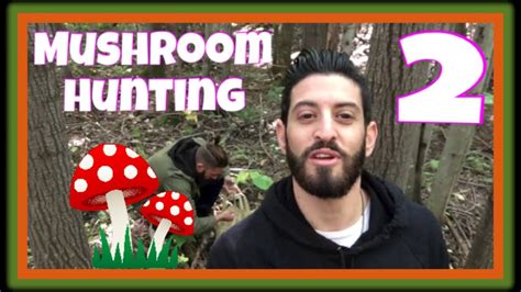 The Magical Mushroom Hunt - YouTube